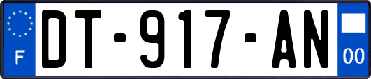 DT-917-AN