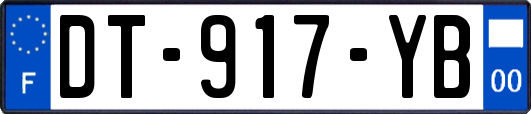 DT-917-YB