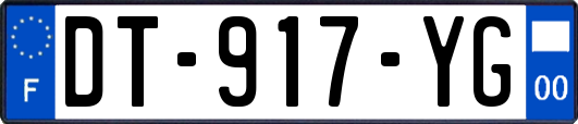 DT-917-YG