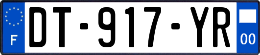 DT-917-YR