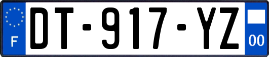 DT-917-YZ