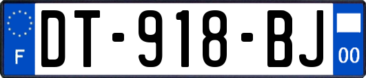 DT-918-BJ