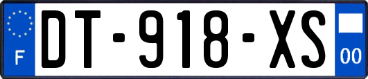 DT-918-XS