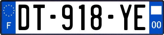 DT-918-YE