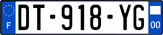 DT-918-YG