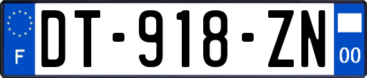 DT-918-ZN