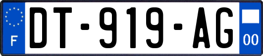 DT-919-AG