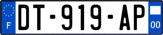 DT-919-AP