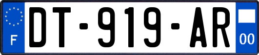 DT-919-AR