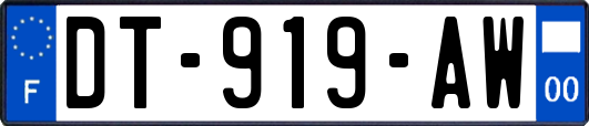 DT-919-AW