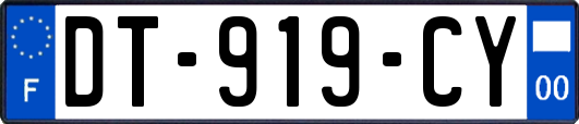 DT-919-CY