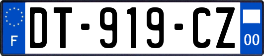 DT-919-CZ