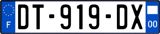 DT-919-DX