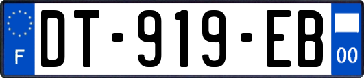 DT-919-EB