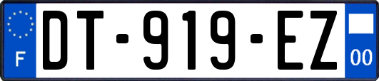 DT-919-EZ