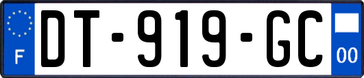 DT-919-GC