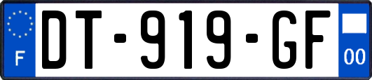 DT-919-GF