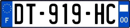 DT-919-HC