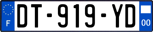 DT-919-YD