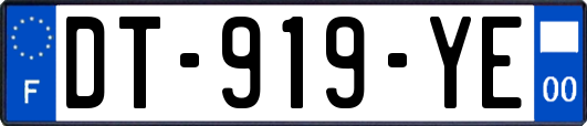 DT-919-YE