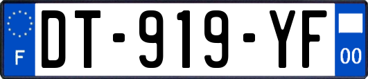 DT-919-YF