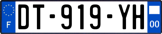 DT-919-YH