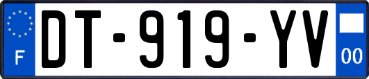 DT-919-YV