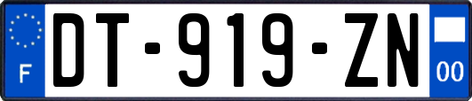 DT-919-ZN