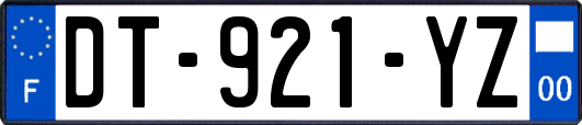 DT-921-YZ