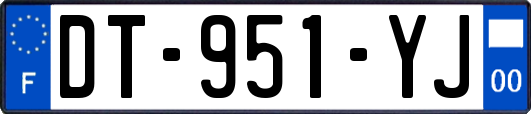 DT-951-YJ