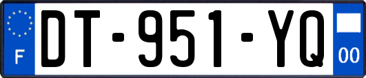 DT-951-YQ