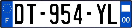 DT-954-YL