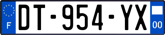 DT-954-YX