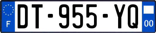 DT-955-YQ