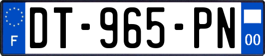 DT-965-PN