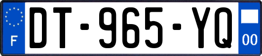 DT-965-YQ