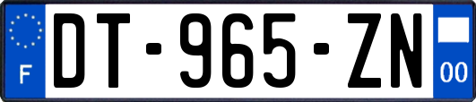 DT-965-ZN