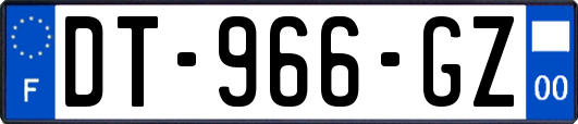 DT-966-GZ