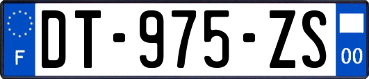 DT-975-ZS