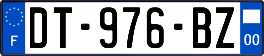 DT-976-BZ