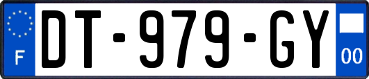 DT-979-GY