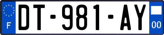 DT-981-AY
