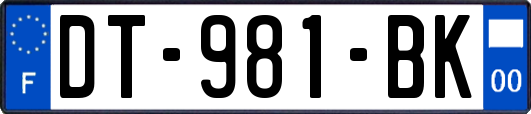DT-981-BK