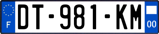 DT-981-KM