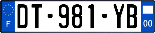 DT-981-YB
