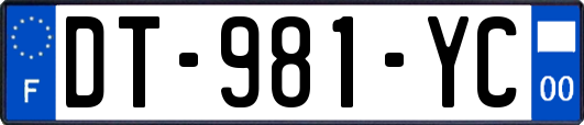DT-981-YC