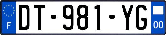 DT-981-YG