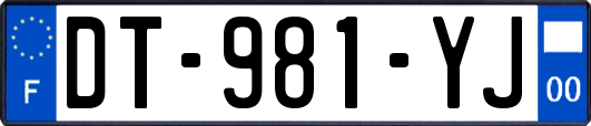 DT-981-YJ