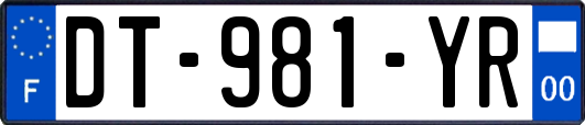 DT-981-YR