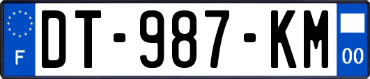 DT-987-KM